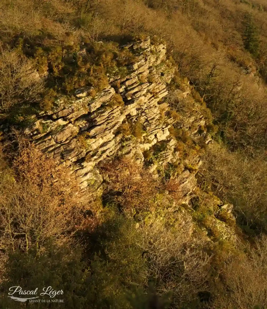 Falaise par Pascal Léger photographe Chant de la nature