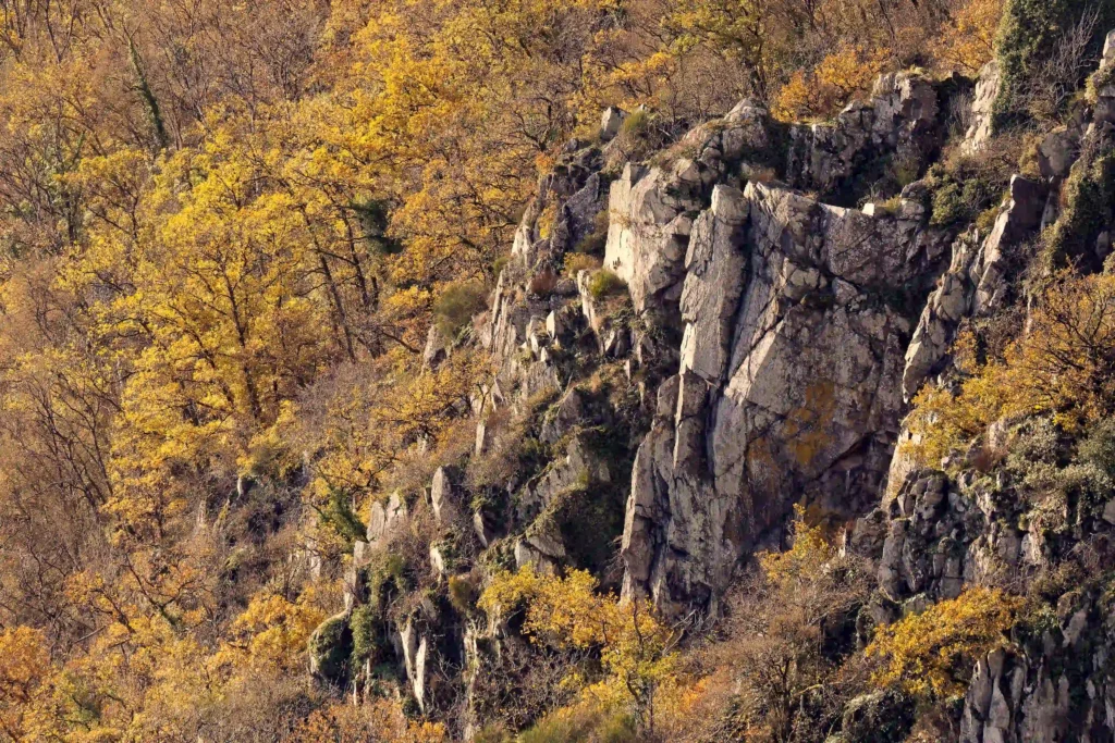 Falaise par Pascal Léger photographe Chant de la nature