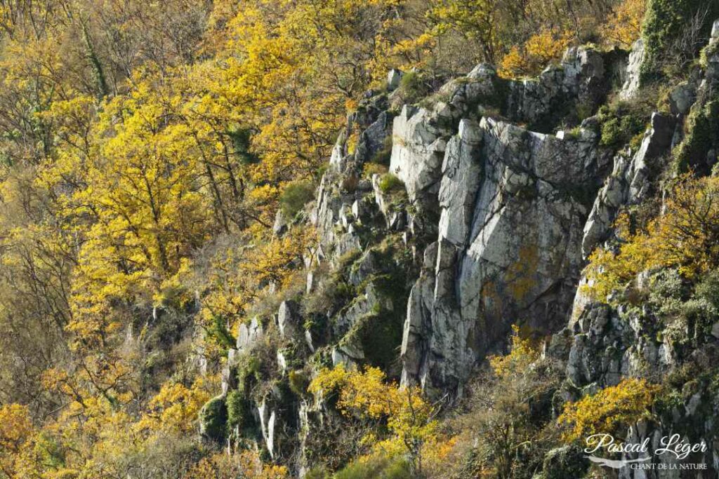 Montagne Suisse Normande Pascal Léger Photographe Chant de la nature