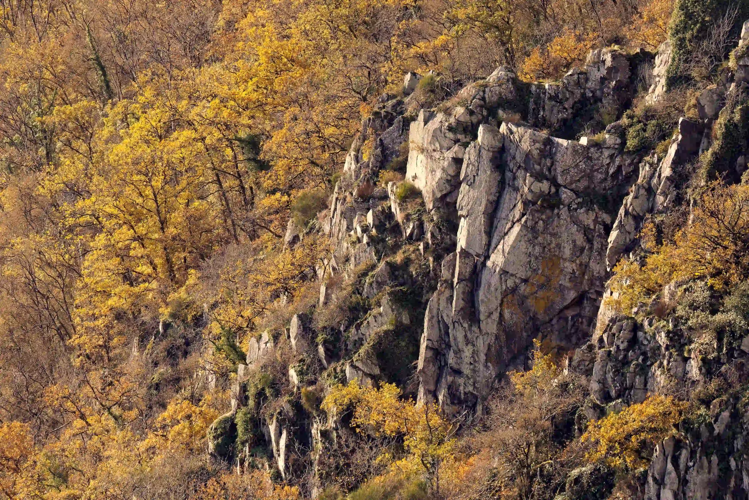 Bannière le chant des falaise Pascal Léger chant de la nature