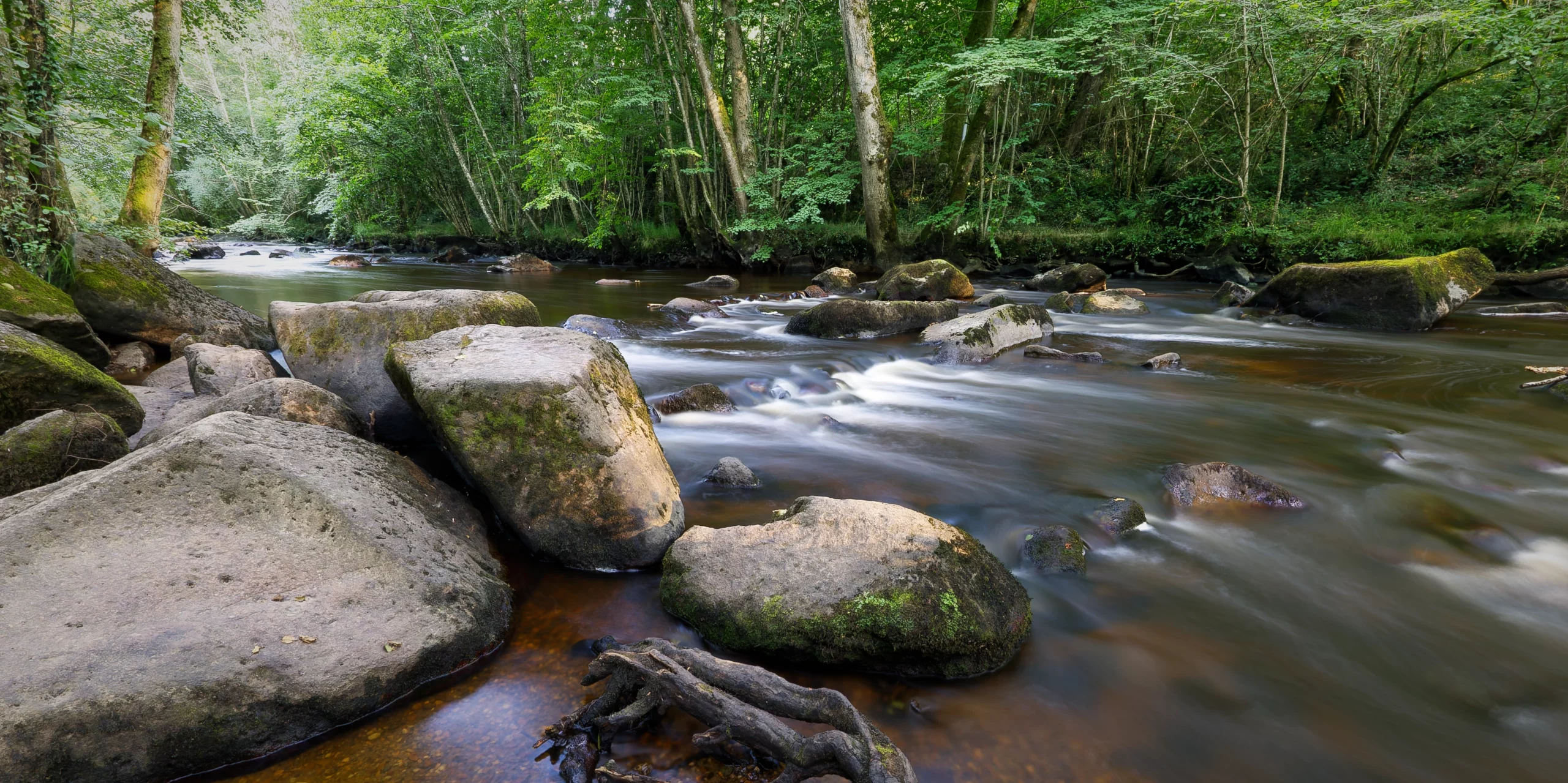Le chant des rivières par Pascal Léger photographe